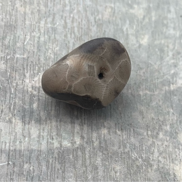 Petoskey stone - Picture 2 of 6